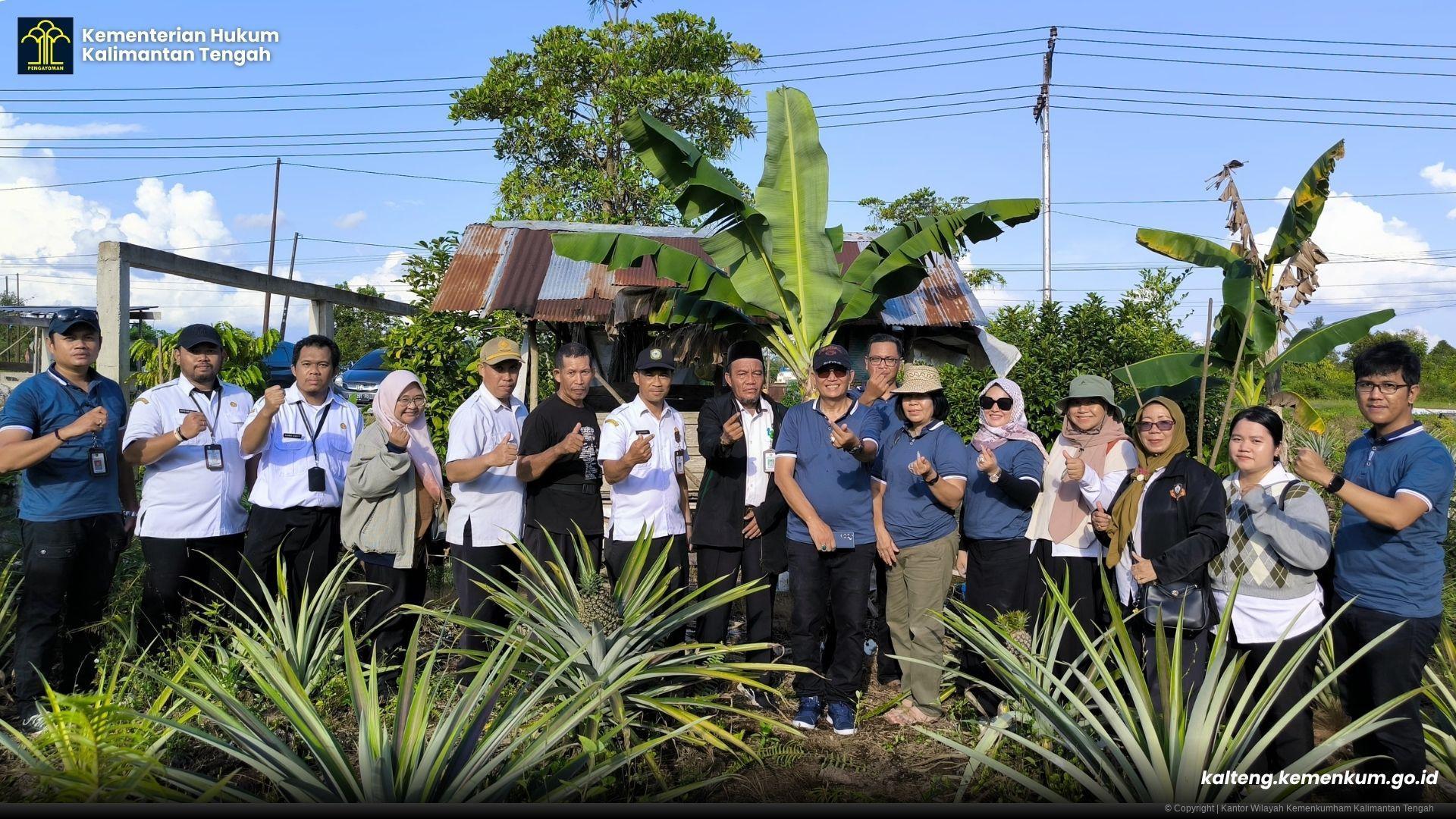 nanas_gantang_4.jpg