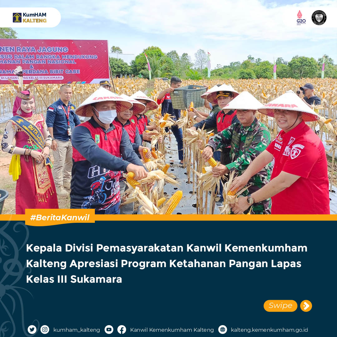 pnenjgungskmmm01.jpg
